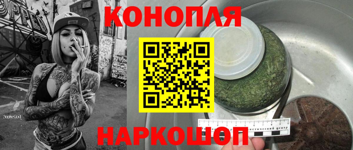 Шишки марихуана планчик Сланцы